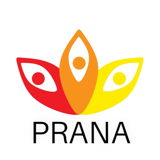 فروشگاه پرانا - pranashop.ir